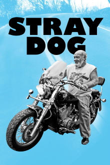 Stray Dog Trailer