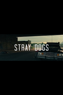 Stray Dogs Trailer