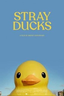 Stray Ducks Trailer