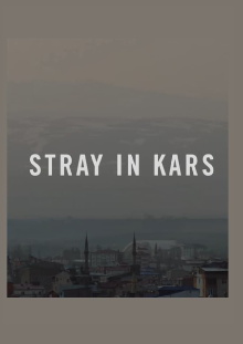 Stray in Kars Trailer