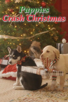 Streaming Wonderland: Puppies Crash Christmas Trailer
