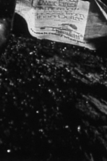 Street Film Part I Trailer