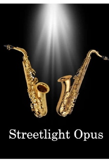 Streetlight Opus Trailer