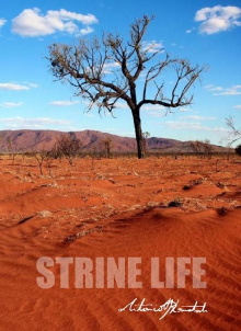 Strine Life Trailer