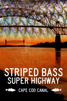 Striped Bass Super Highway: Cape Cod Canal Trailer