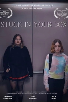 Stuck in Your Box Trailer
