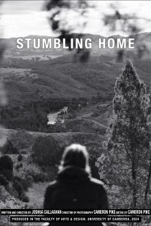Stumbling Home Trailer