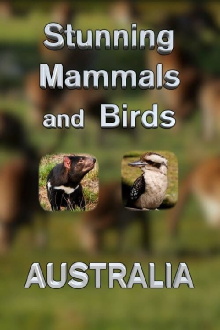 Stunning Mammals and Birds: Australia Trailer