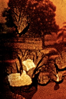Stuttgart Filmwinter Trailer