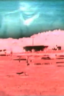 Subatomic Babies Trailer