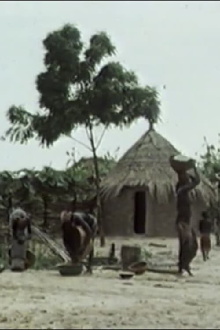 Subsister en savane Trailer