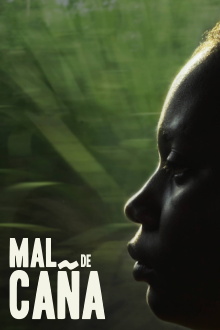 Sugar Cane Malice Trailer