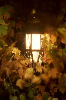 Summer Light Trailer