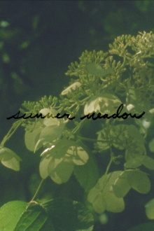 Summer Meadow Trailer