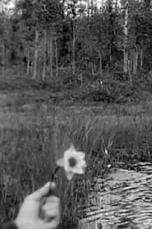 Summer Memories from Västerbotten 1912 Trailer