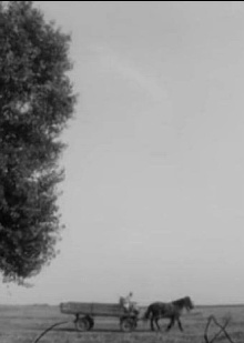 Summer Movie Trailer