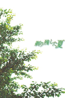 Summer of Leftover Stubble Trailer