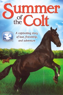 Summer of the Colt Trailer
