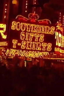 Sundog Verga Matrix Trailer