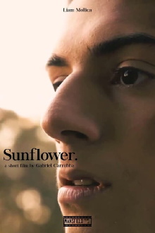 Sunflower Trailer