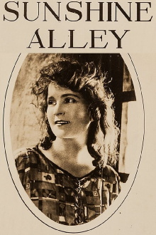 Sunshine Alley Trailer