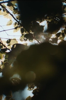sunspots, burnt into my heart Trailer