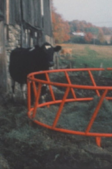 Super 8 Diary - 1991 Trailer