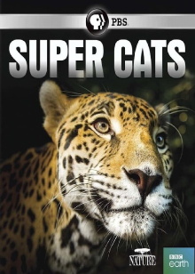 Super Cats Trailer