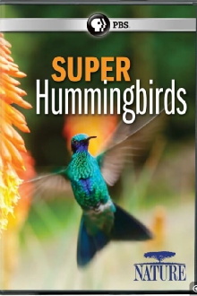 Super Hummingbirds Trailer