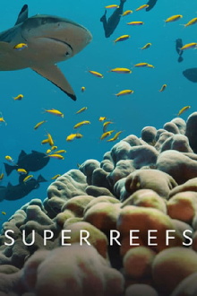Super Reefs Trailer