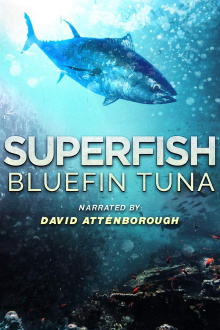 Superfish: Bluefin Tuna Trailer