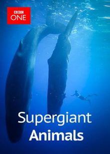 Supergiant Animals Trailer