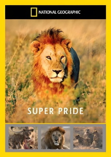 Superpride Trailer