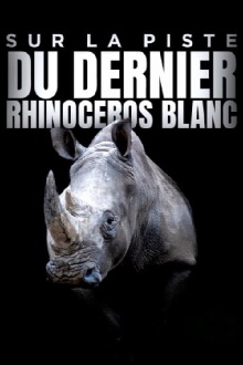 Sur la piste du dernier rhinocéros blanc Trailer