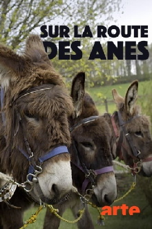 Sur la route des ânes Trailer