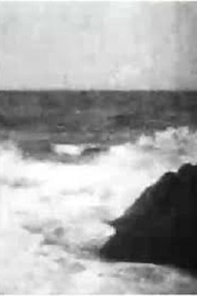 Surf at Monterey Trailer