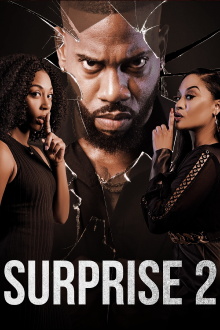 Surprise 2 Trailer