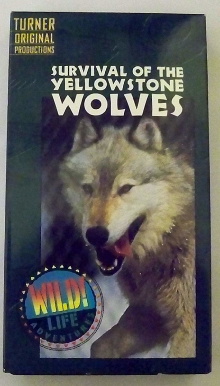 Survival of the Yellowstone Wolves Trailer