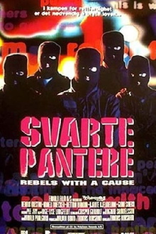 Svarte pantere Trailer