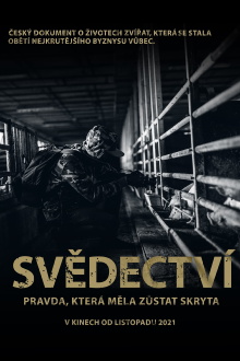 Svědectví: Pravda, která měla zůstat skryta Trailer