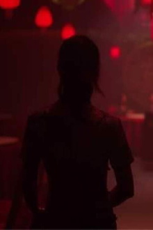 Swallow Trailer