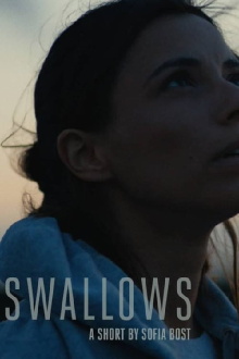 Swallows Trailer