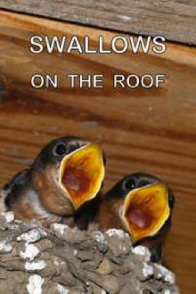 Swallows on the Roof Trailer