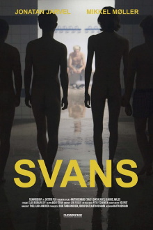Swans Trailer