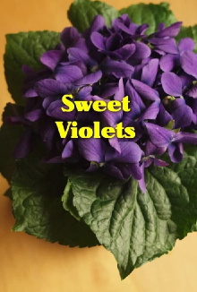 Sweet Violets Trailer