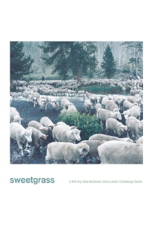 Sweetgrass Trailer