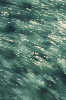 Swimmer Trailer