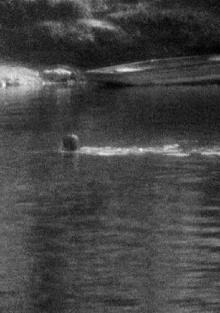 Swimming Trailer