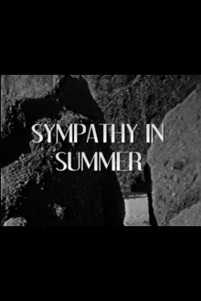 Sympathy in Summer Trailer