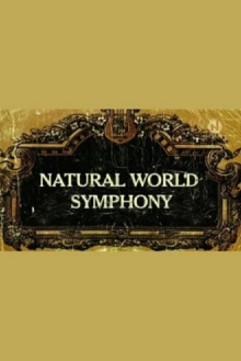Symphony Trailer
